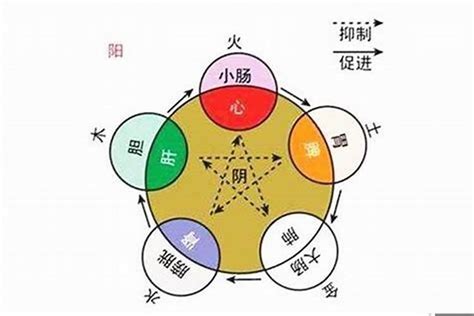 种植业五行属什么|农业五行属什么属性